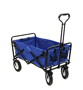 Manual de instruções - Carrinho Wagon